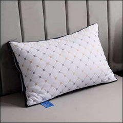 Embroidered Vacuum Packed Luxury Filled Pillow Design 112